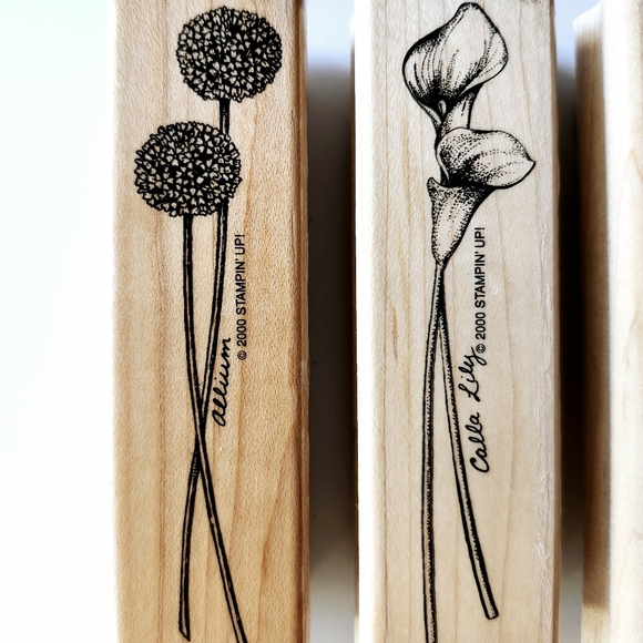 Stampin Up! Long Stemmed Rubber Stamp Set - Picture 3 of 7